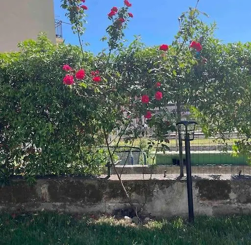 Casa Ale 5 Terre Con Giardino Lejlighed *